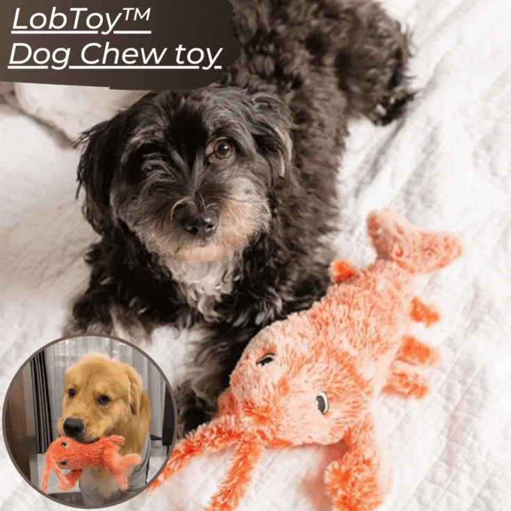 LobToy™ - Hundekauspielzeug | 1+1 GRATIS!