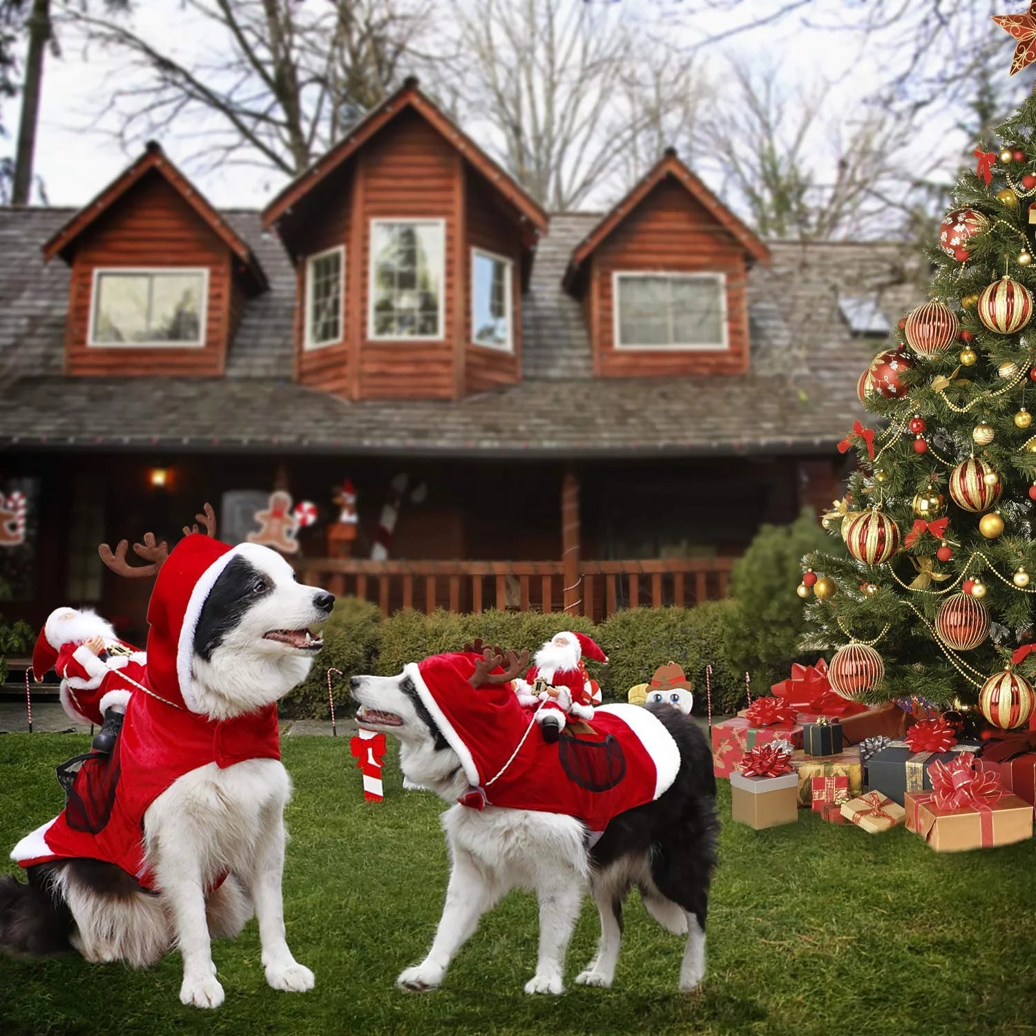 CoolDog™ - Hunde Weihnachtsmann Kostüm